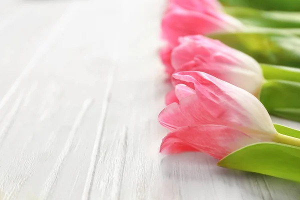 Belles tulipes sur fond blanc en bois, gros plan — Photo