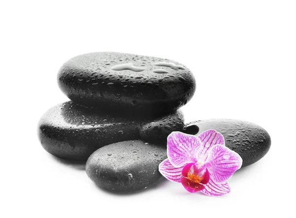 Spa stones with drops of water and beautiful flower on white background — Stock Photo, Image