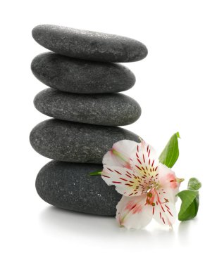 Spa taşlar ve beyaz arka plan üzerinde güzel çiçek yığını