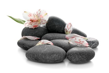 Spa taşlar ve beyaz arka plan üzerinde güzel çiçek