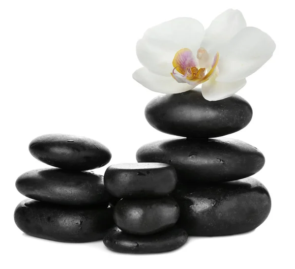 Spa stones and beautiful flower on white background — Stock Photo, Image
