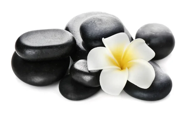 Спа камені і красива квітка на білому тлі — стокове фото
