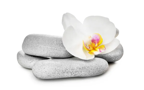 Spa stones and beautiful flower on white background — Stock Photo, Image