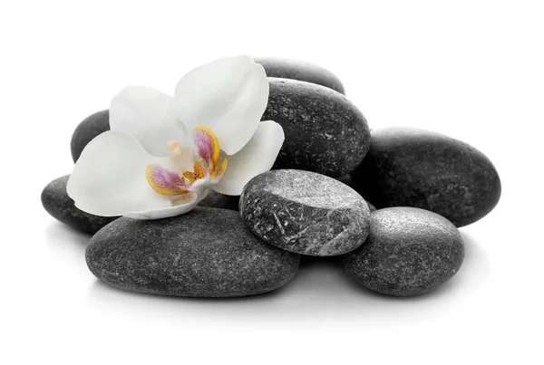 Κέντρο ευεξίας και σπα πέτρες και όμορφο λουλούδι σε λευκό φόντο — Φωτογραφία Αρχείου