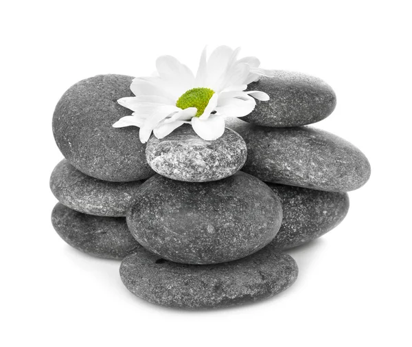 Spa kövek és gyönyörű virág, fehér háttér — Stock Fotó