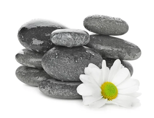 Piedras de spa y hermosa flor sobre fondo blanco — Foto de Stock