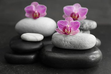 Spa taşlar ve masaya güzel orkide çiçek