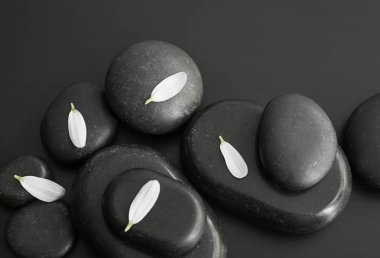 Spa taş ve çiçek yaprakları koyu tablo, portre