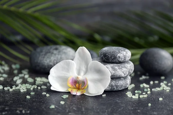 Spa taşlar ve gri masada güzel orkide çiçek — Stok fotoğraf