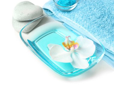 Beyaz arka plan üzerinde spa prosedürler için esansiyel yağı ile kase