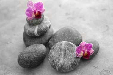 Spa taşlar ve gri masaya güzel orkide çiçek