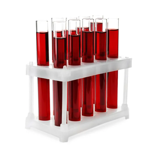 Test tubes with blood samples in holder on white background — Stock Photo, Image