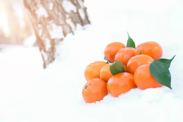 Ripe tangerines on snow outdoors. Fresh citrus fruit — Stock Photo, Image