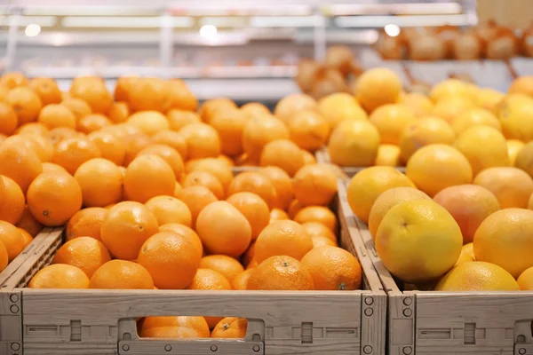 Muchos cítricos maduros en cajas de plástico en el mostrador del mercado — Foto de Stock