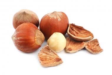 Beyaz arkaplanda fındık