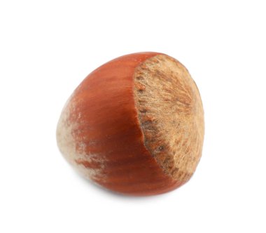 Beyaz arkaplanda fındık