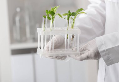 Test tüpleri bitkiler ile tutarak laboratuar alt arka plan, closeup bulanık