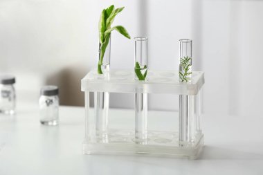 Tablo arka plan bulanık karşı bitkiler ile test tüpleri