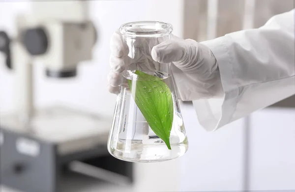 Lab worker holding flask with leaf on blurred background, closeup — Stock Photo, Image