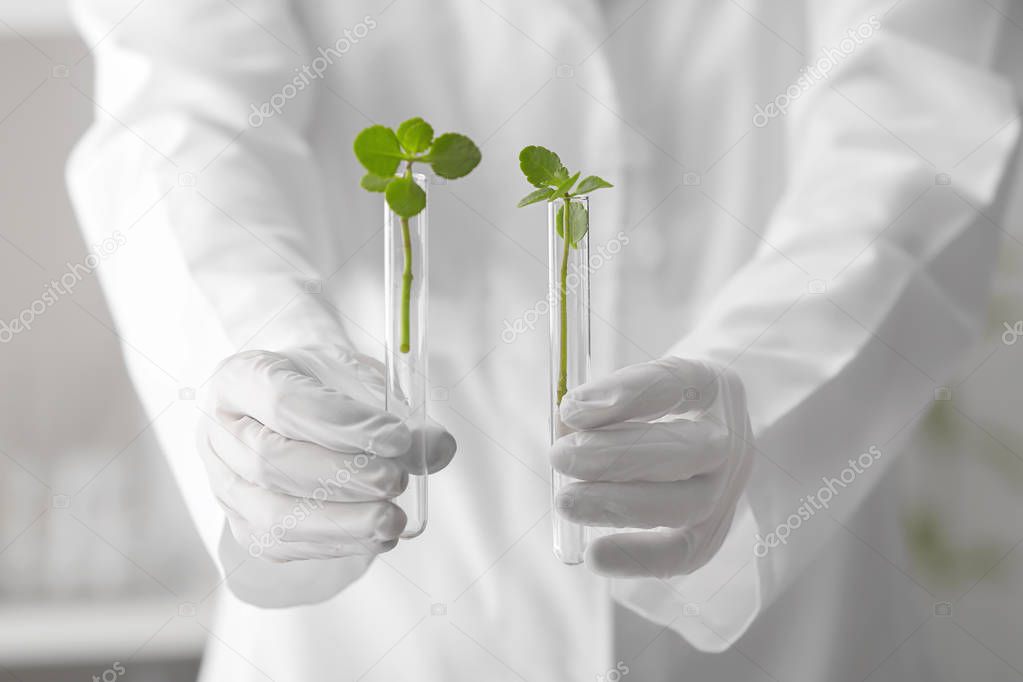 Lab worker holding test tubes with plants, closeup