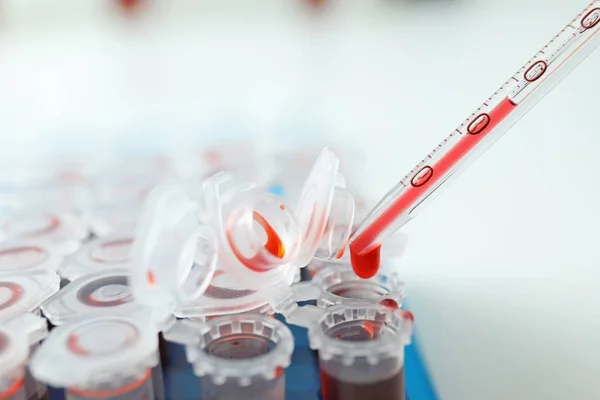 Dripping blood samples into test tubes, closeup — Stock Photo, Image