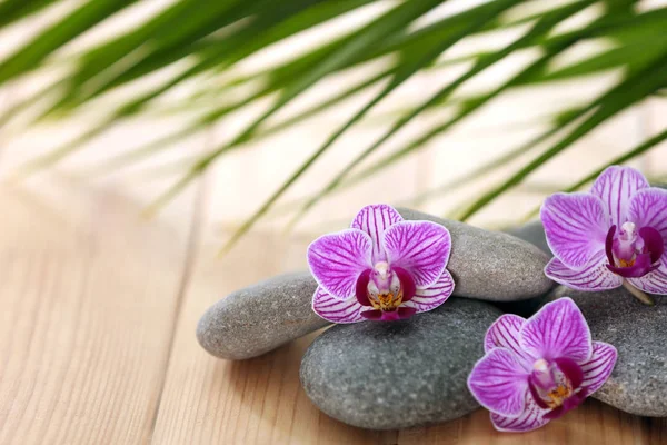 Pierres de spa avec fleurs d'orchidée sur table en bois — Photo