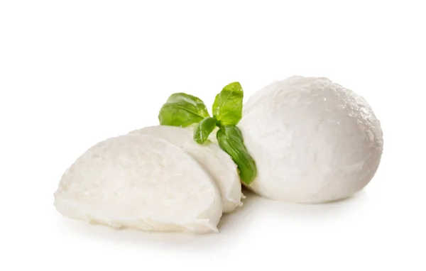 Mozzarella och basilika på vit bakgrund — Stockfoto