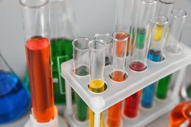 Test tüpleri ile tutucu, portre renkli sıvı
