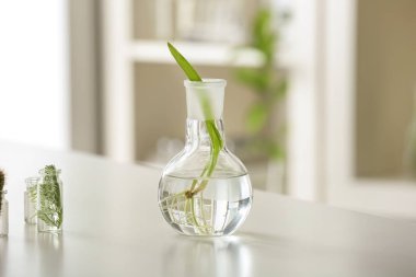 Şişesi bitki laboratuvar tablo ile