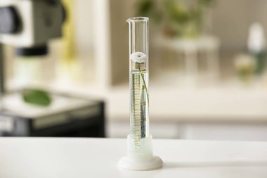 Silindir laboratuar tablo üretim tesisi ile mezun oldu