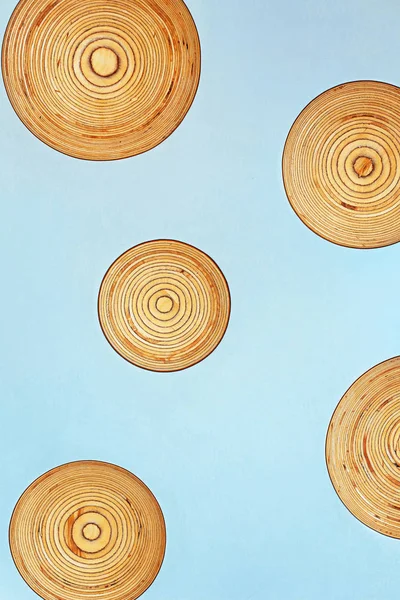 Sections of tree trunks on color background — Stock Photo, Image