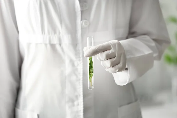 Lab worker holding test tube with plant, closeup