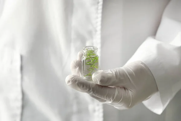 Trabajador de laboratorio sosteniendo botella con planta, primer plano — Foto de Stock