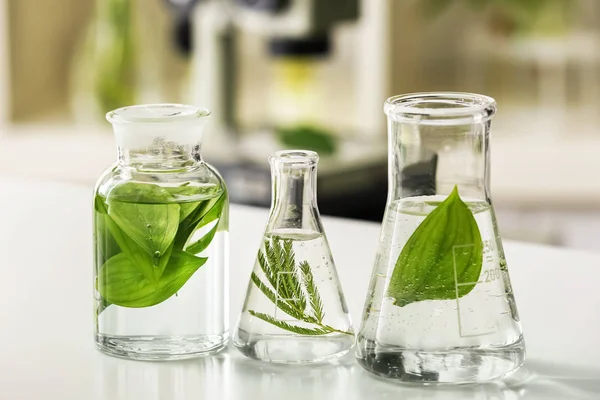 Frascos con plantas sobre la mesa en laboratorio —  Fotos de Stock