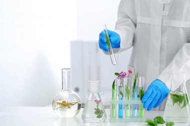 Laboratuar tesislerinde çalışan bilim adamı