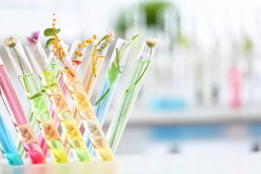 Test tüpleri üzerinde arka plan bulanık bitkilerde