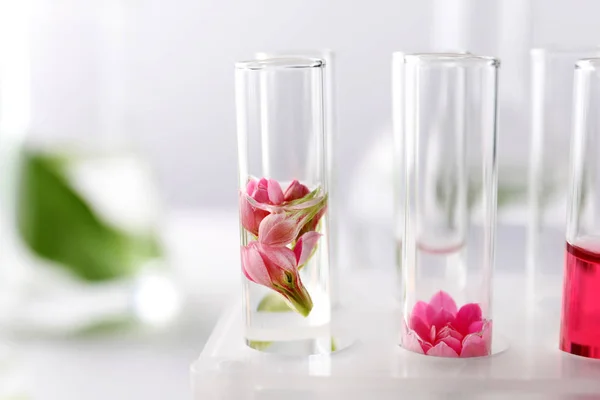 Тестові трубки з квітами в стійці, крупним планом — стокове фото