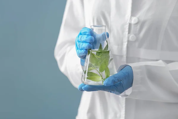 Вчений тримає колбу з рослиною на кольоровому фоні — стокове фото