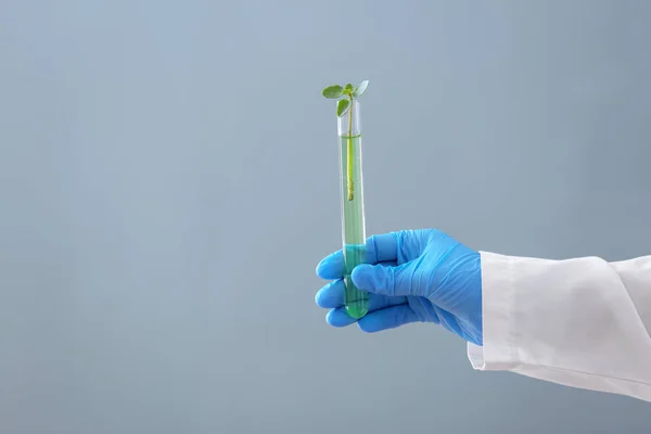 Científico sosteniendo tubo de ensayo con planta sobre fondo de color —  Fotos de Stock