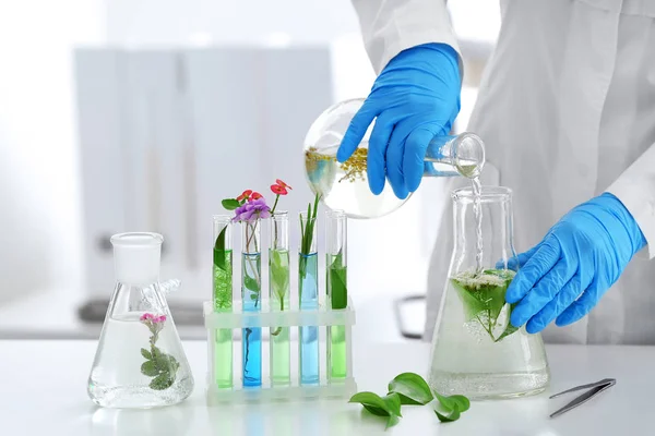 Scientist working with plants in laboratory — Stock Photo, Image