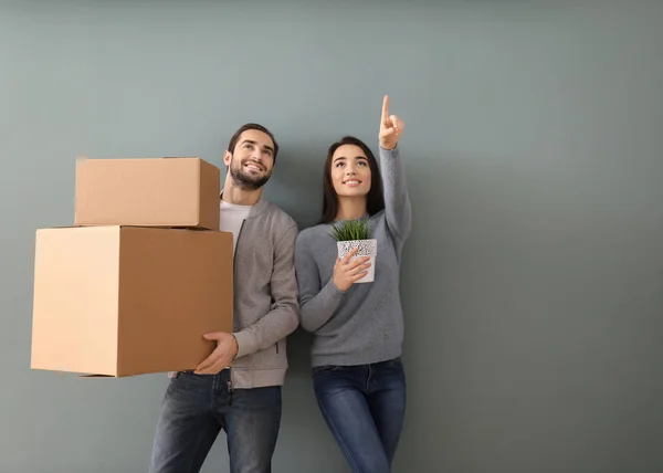 Kutuları ve renk arka plan üzerinde houseplant ile genç çift. Yeni evime taşınmaya — Stok fotoğraf