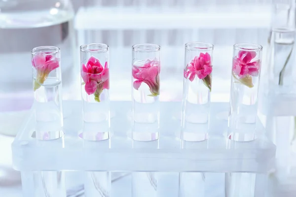 Tubos de ensayo con flores en estante sobre mesa — Foto de Stock