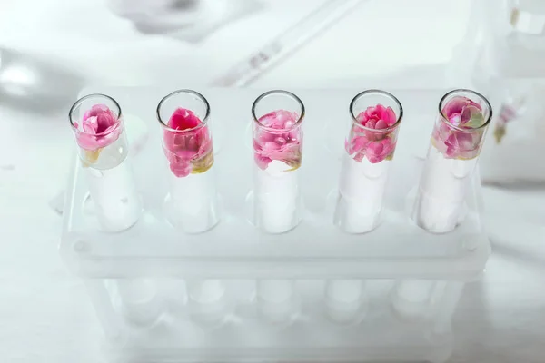 Test tubes with flowers in rack on table — Stock Photo, Image