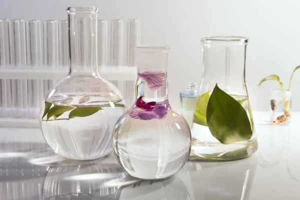 桌上有植物的不同实验室玻璃器皿 — 图库照片