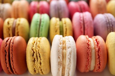 Lezzetli renkli macarons, portre
