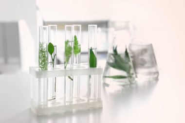 Test tüpleri ile bitkiler tutucu tablo