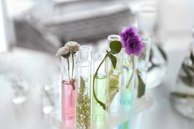 Test tüpleri masada bitkilerde