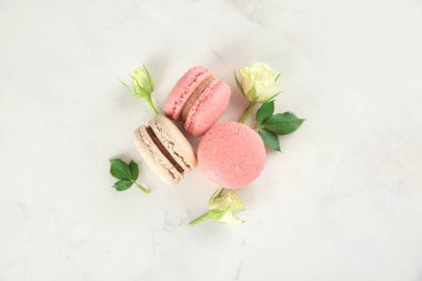 Lezzetli macarons ve açık renkli gül