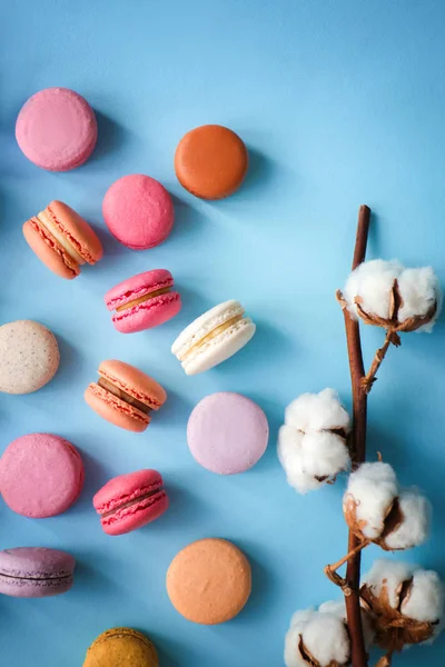 Tasty macarons with cotton flowers on color background — Stock Photo, Image