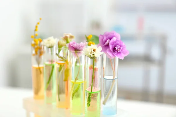 Flores em tubos de ensaio sobre fundo desfocado — Fotografia de Stock
